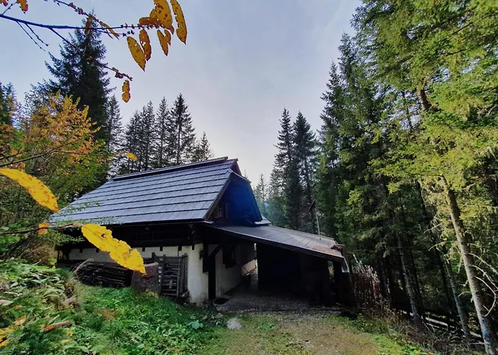 Huettentraum By Globalimmoservice Prázdninový dům Bad Kleinkirchheim